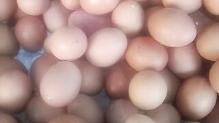 Egg good