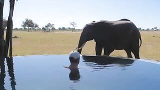Hwange National Park