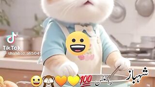 Funny videos with Arslan