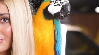 burung trending 1
