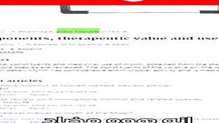 اقوي مضاد حيوي طبيعي علي الارض