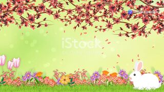 Zozo the Bunny: A Heartwarming Tale of Love & Courage