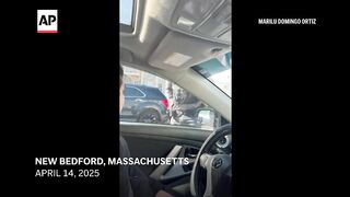 ICE agents smashed car window and seized man seeking asylum, family says.