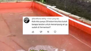 Ini alasan kenapa ada kolam TANDON untuk memproses air
