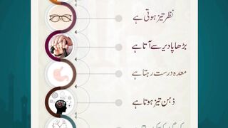 Islamic Information #arabculture #quotes #islamicinformation #love #quotes  #islamicknowledgeshorts