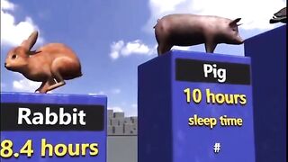 Who has been sleeping the longest ?