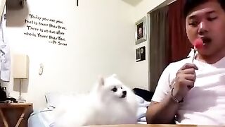 HH MY DOG