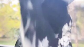 Akshara singh video