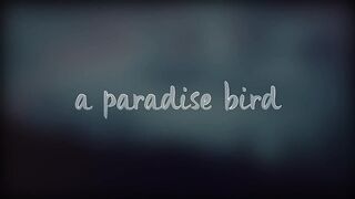Let me bown slowly (lyrics)