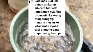 Tinggal JUAL dan UNTUNG saja masih bingung, manjanya para PEMULA