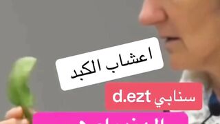 الكبد