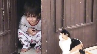 Cat and little boy fight