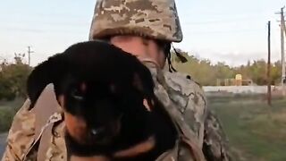 Funny dog in the backpack
