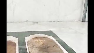 Khuwaja moinoden or baba freed baba kotab ka musallah