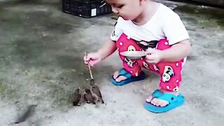 cute kid is feeding to birds