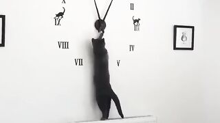 The_Reason_I'm_late_to_School_Every_Morning_????????.