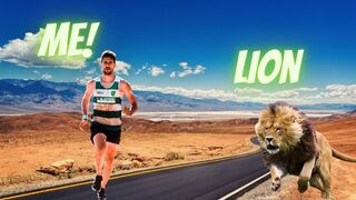 Can I Survive In A Lion's Den For 60 Minutes Straight?