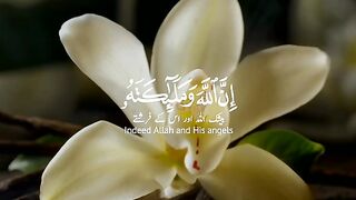QuraanUrdu video 1