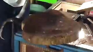 Snakes drink