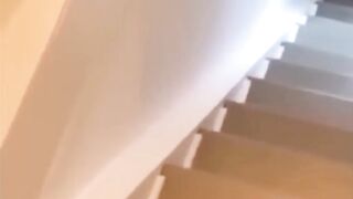 Funniest Animals 2023 ???? Funniest Cats and Dogs ???????? THE DOG IS PLYING WITH BABY WAKER