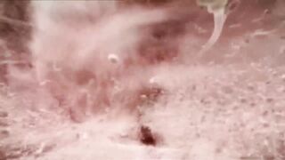 ► Le miracle de la vie (simulation 3D d'une grossesse)