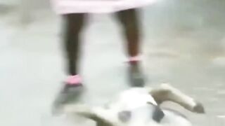 Funniest Animals 2023 ???? Funniest Cats and Dogs ???????? THAT ARE PLAY
