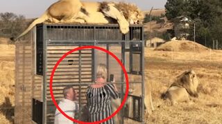 12 Animal Encounters That Will Freak You Out