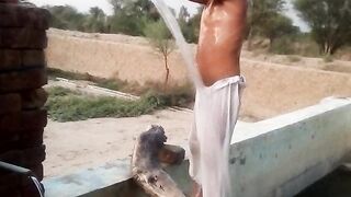 Funny video ????
