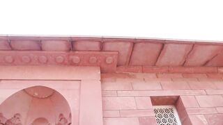 Little Professor On Mazare iqbal | Professor Hammad safi on the Mazare Dr Iqbal