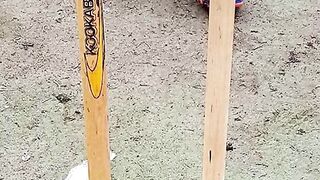 Amazing cricket facts part 1