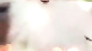 Cutie cat #shorts#youtubr