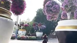 The world's largest natural flower garden