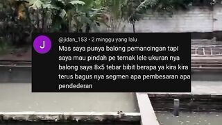 Kolam tanah 5x8 meter idealnya jumlah tebar bibit lele berapa ekor❓