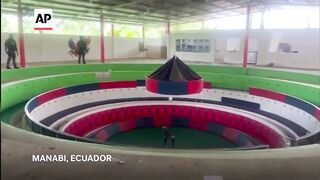 At least 12 killed in attack during cockfighting event in Ecuador.