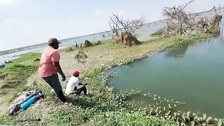 Big Fishes Hunting