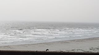 The Arabian Sea