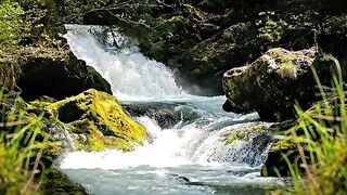 ✅Música Tai Chi Chuan ambiente calmante para equilibrar as energias positivas- Zen e bem-estar