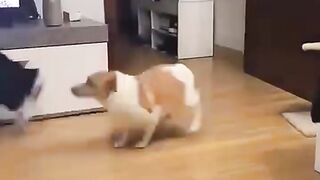 vacuum cleaning
