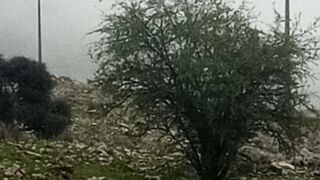 راس الماء الاطلس المتوسط