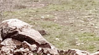 صخور راس الماء الاطلس المتوسط