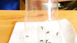 মশা দের আপ্যায়ন করা হচ্ছে ????????