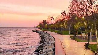 Attractive natural background video
