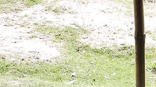 গ্রাম বাংলার ধানের মাঠ।