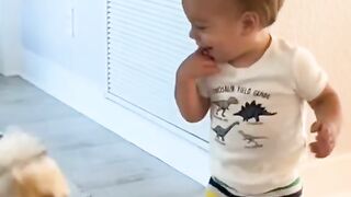 Baby funny video
