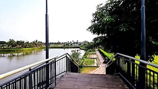 Natural View