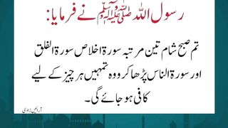 Islamic Information #arabculture #quotes #islamicinformation #hazratali #bestquotes #love