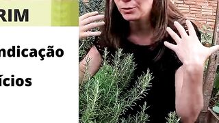 essa planta trata Inflamações, dores das Articulações e Ansiedade