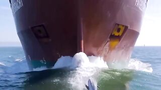 Дельфины скользят по волнам, создаваемым судном.