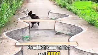 Melukis 3D Ajaib Jalanan????