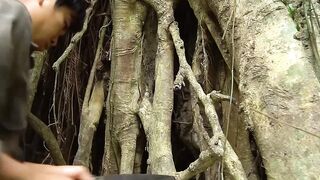 建造古树庇护所生存 #荒野建造 #野外建造 #解压 
